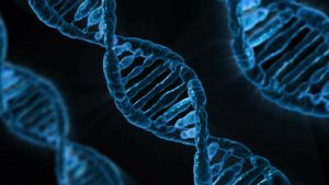 Blog biologiczny – rytmy biologiczne